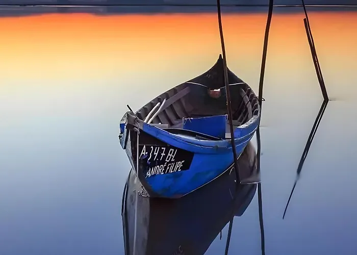 T2 Moliceiros Vista Ria *