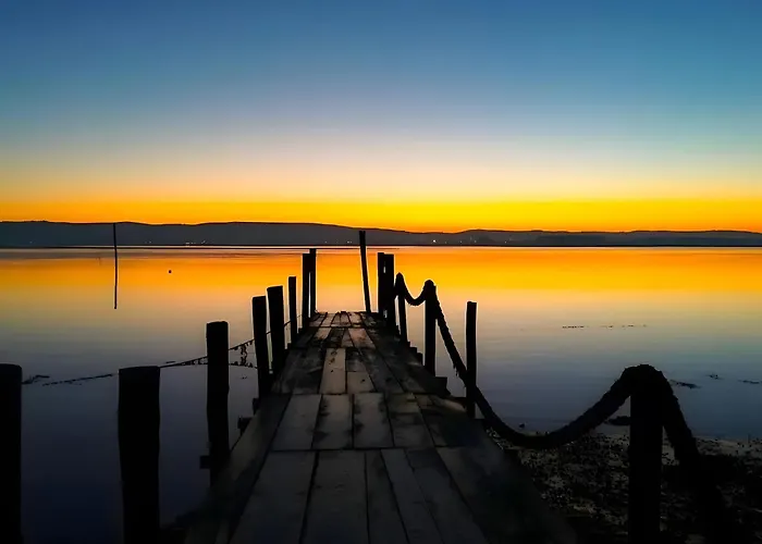 T2 Moliceiros Vista Ria