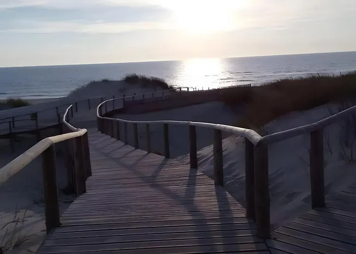 T2 Moliceiros Vista Ria * Torreira