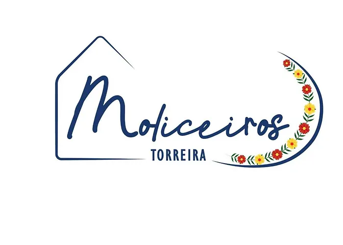 T2 Moliceiros Vista Ria Appartement