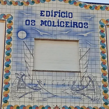 T2 Moliceiros Vista Ria Appartement