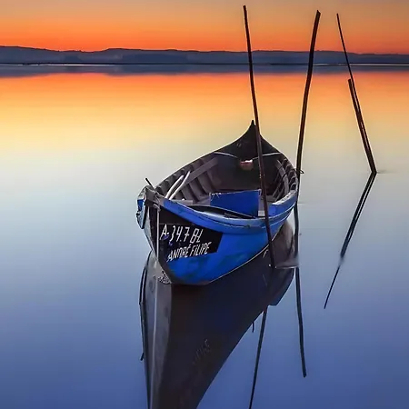 T2 Moliceiros Vista Ria *