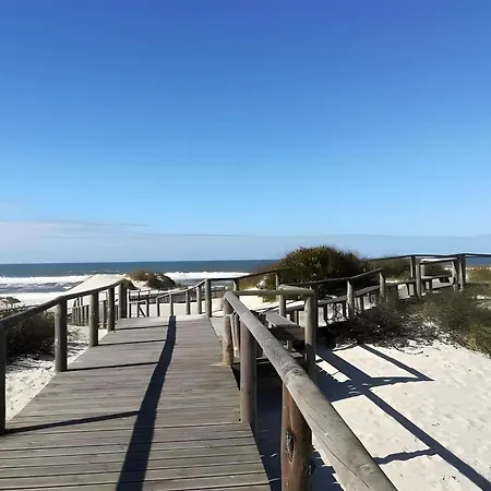 T2 Moliceiros Vista Ria