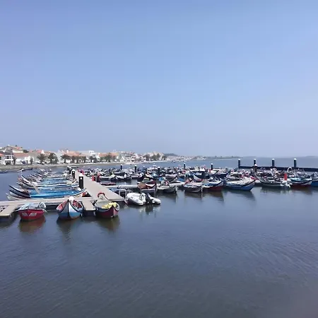 Appartement T2 Moliceiros Vista Ria Torreira