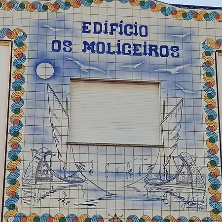 T2 Moliceiros Vista Ria トレイラ
