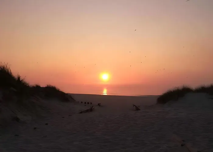 アパート T2 Moliceiros Vista Ria