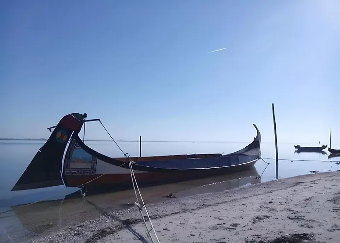 T2 Moliceiros Vista Ria *