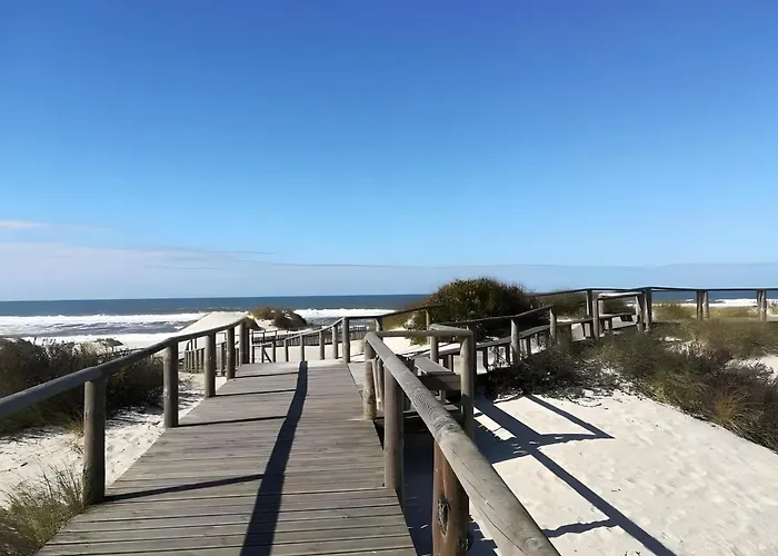 T2 Moliceiros Vista Ria